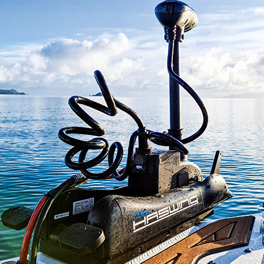 Haswing 12V 55LBS Bow Mount On-Water Test